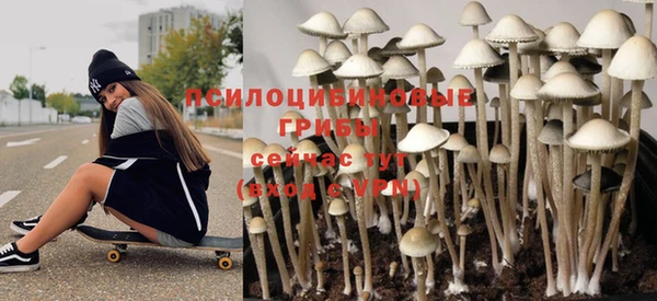 первитин Алексеевка