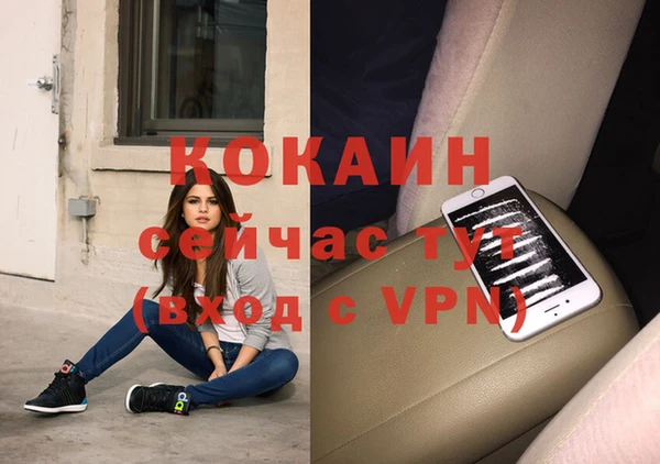 гашик Алзамай