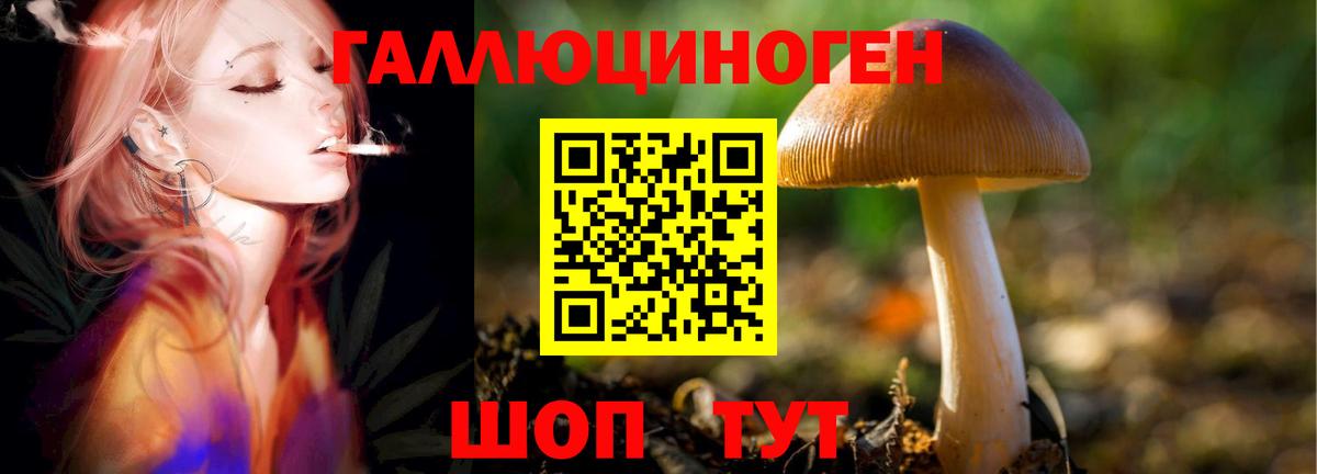Междуреченск  Галлюциногенные грибы GOLDEN TEACHER  Вход с VPN 
